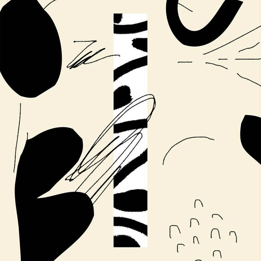 #11 - Image 2