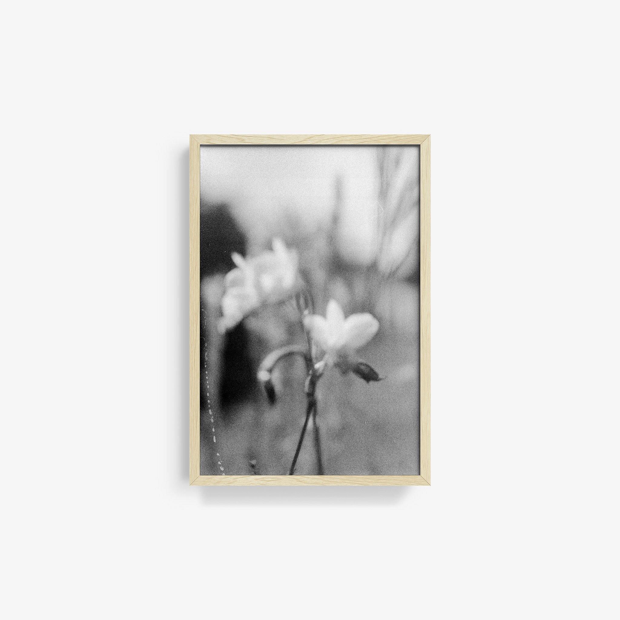 A Kiss to You Towards the Setting Sun 29 - Image 17