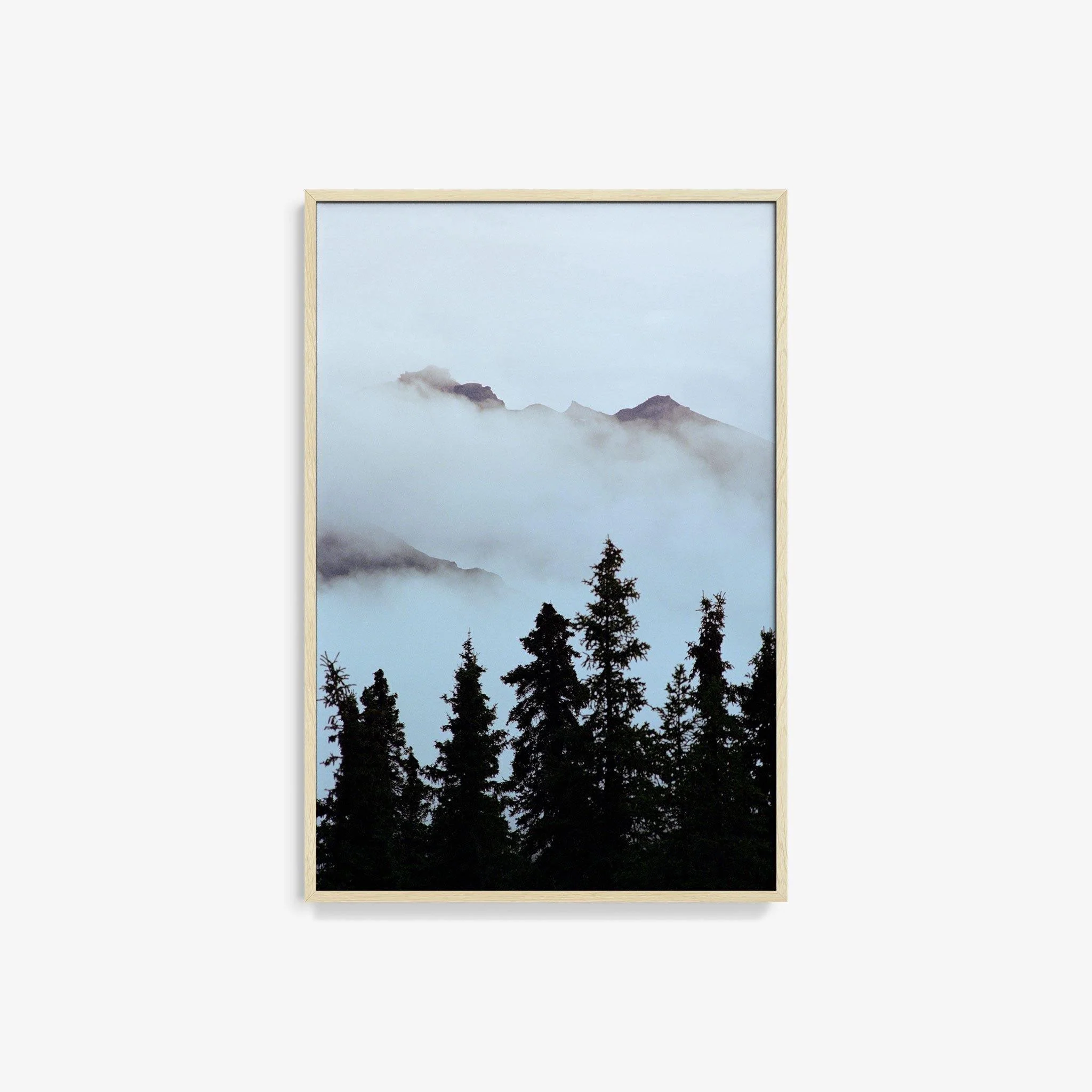 Alaska 3 - Image 14