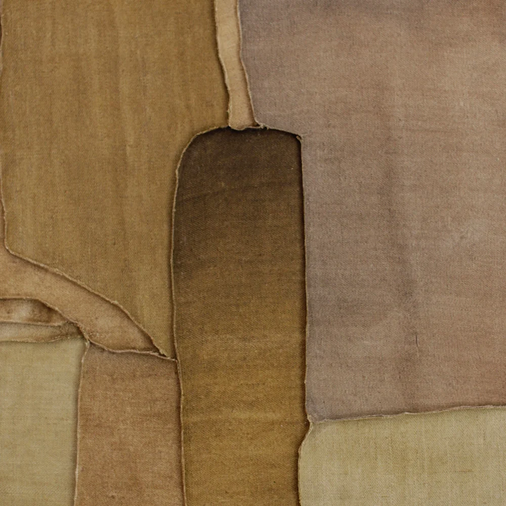 All The Level Earth - Image 5