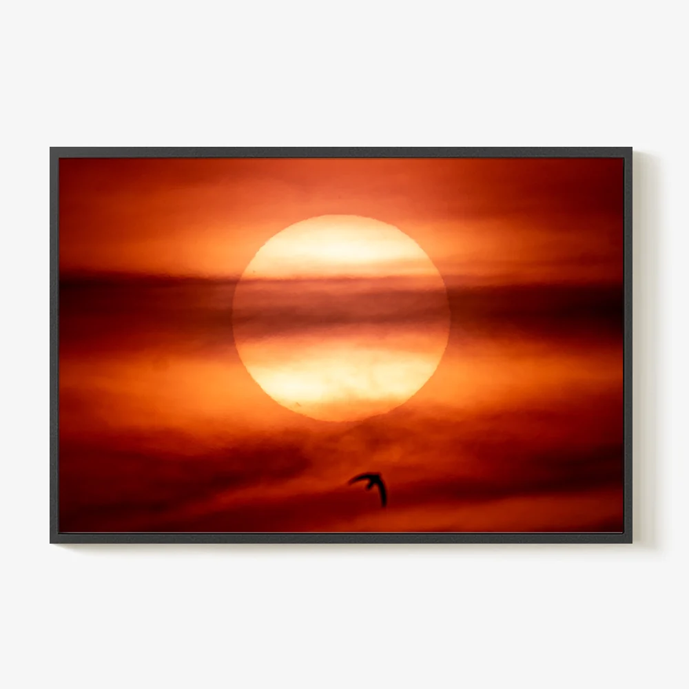 An Island of Fire in a Sea of Milk 3 - Image 10