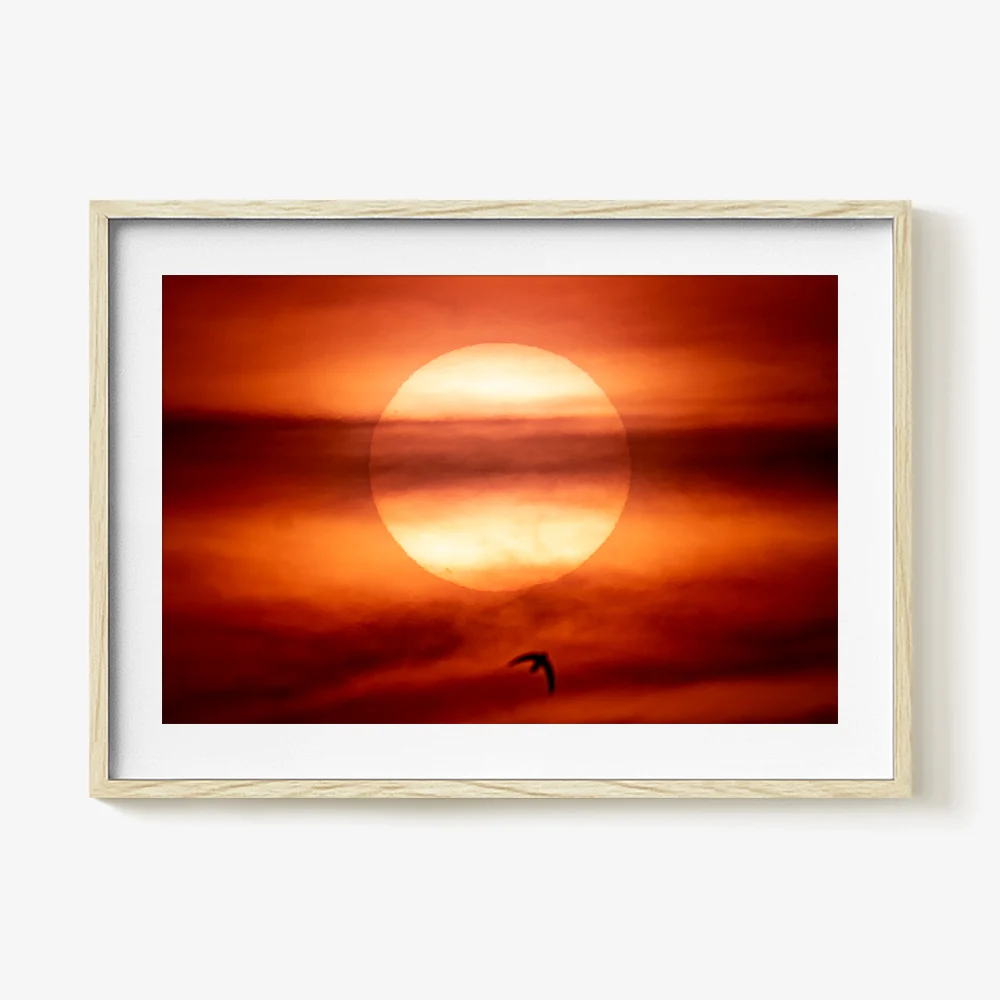 An Island of Fire in a Sea of Milk 3 - Image 15