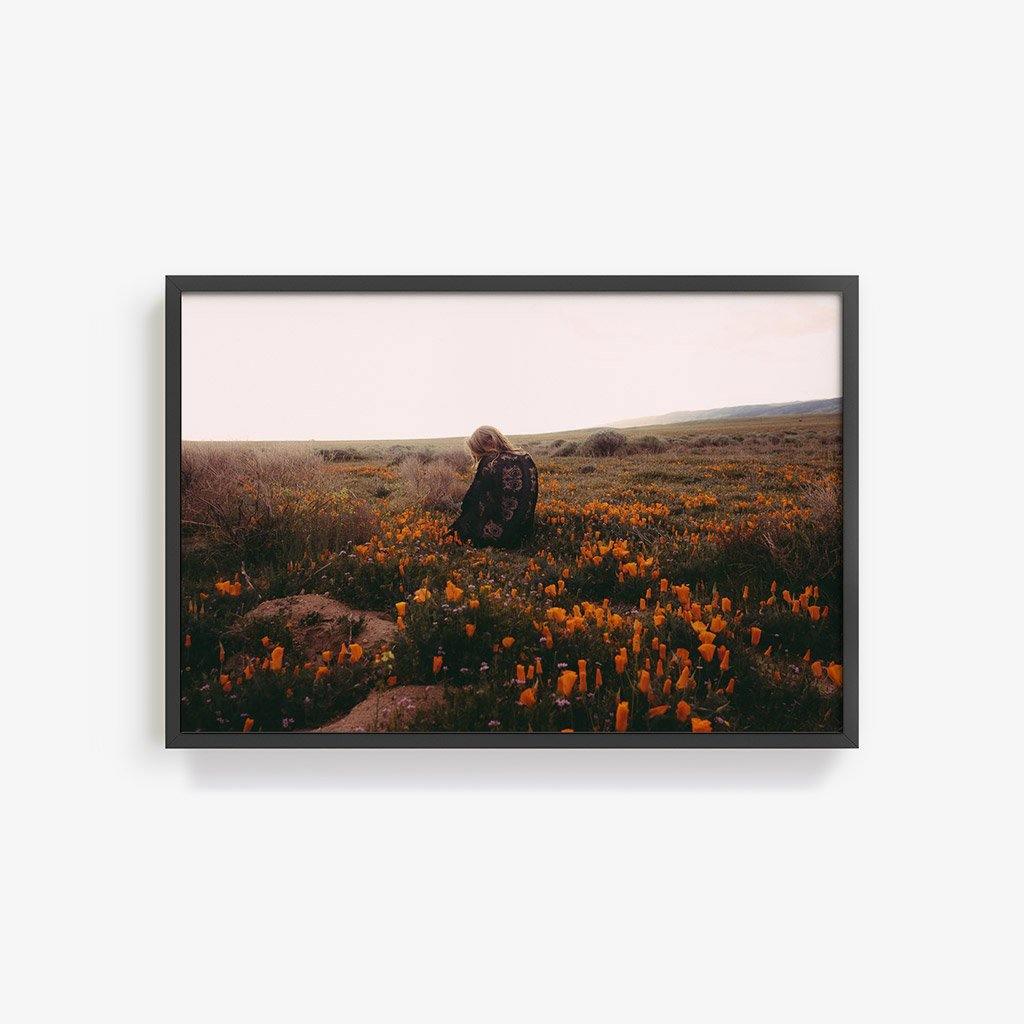 Antelope Valley - Image 11