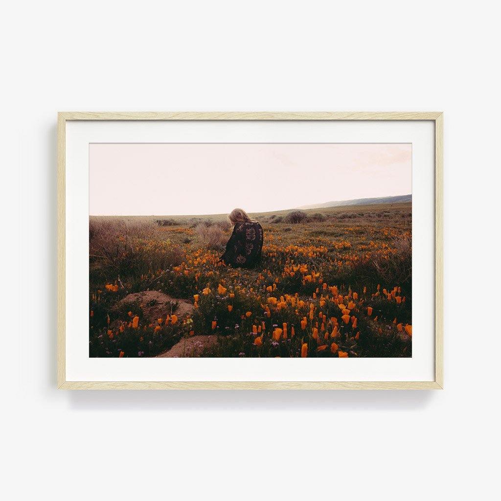 Antelope Valley - Image 14