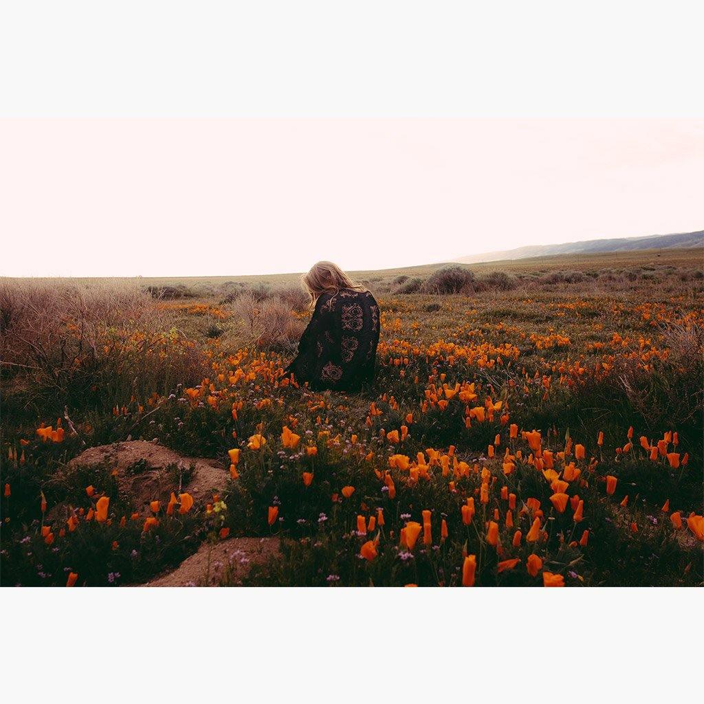 Antelope Valley - Image 3