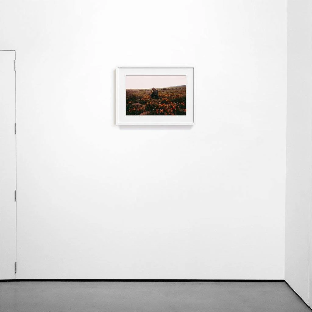 Antelope Valley - Image 4