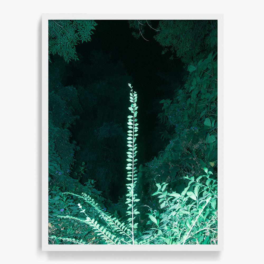 Antenna - Image 21