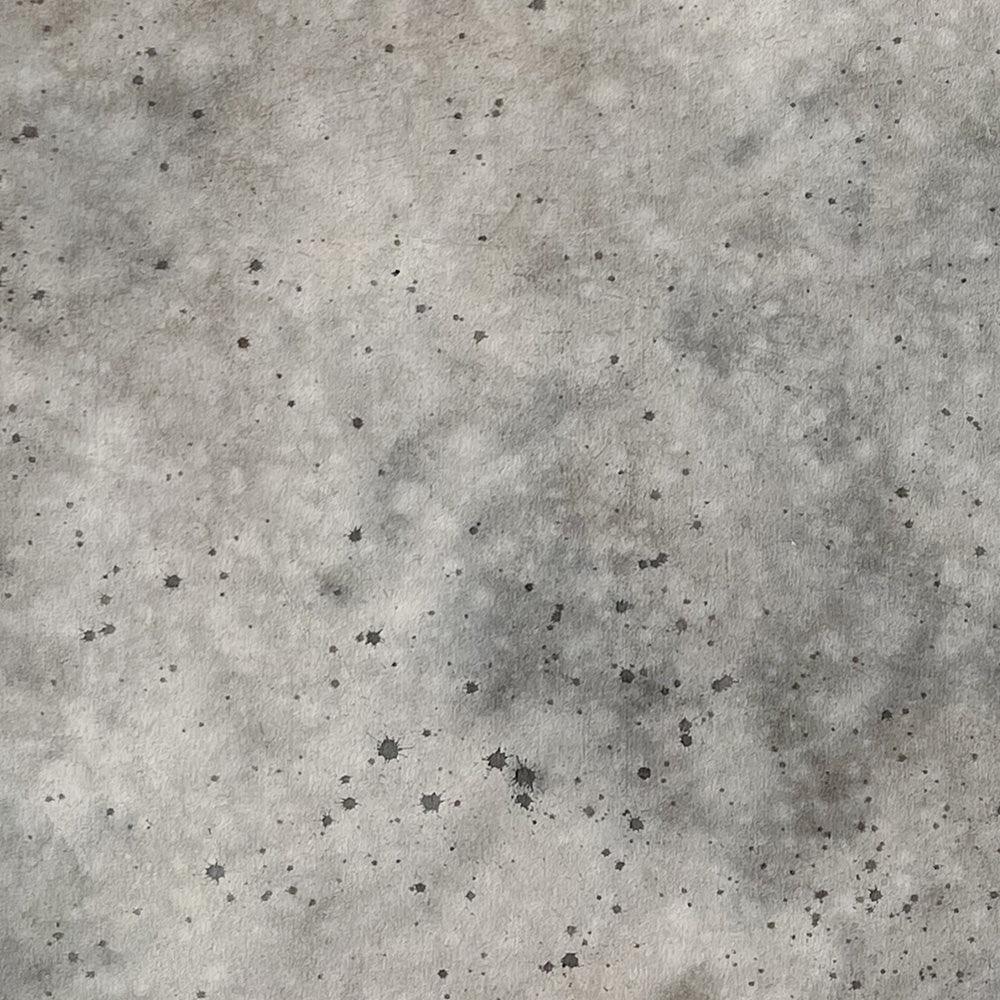 Appaloosa - Image 4