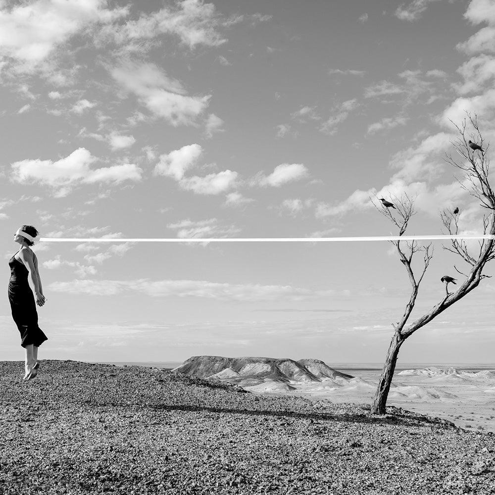 Birds - Image 3