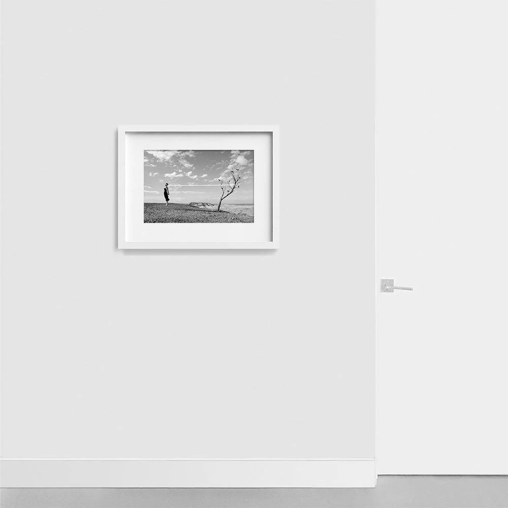 Birds - Image 5