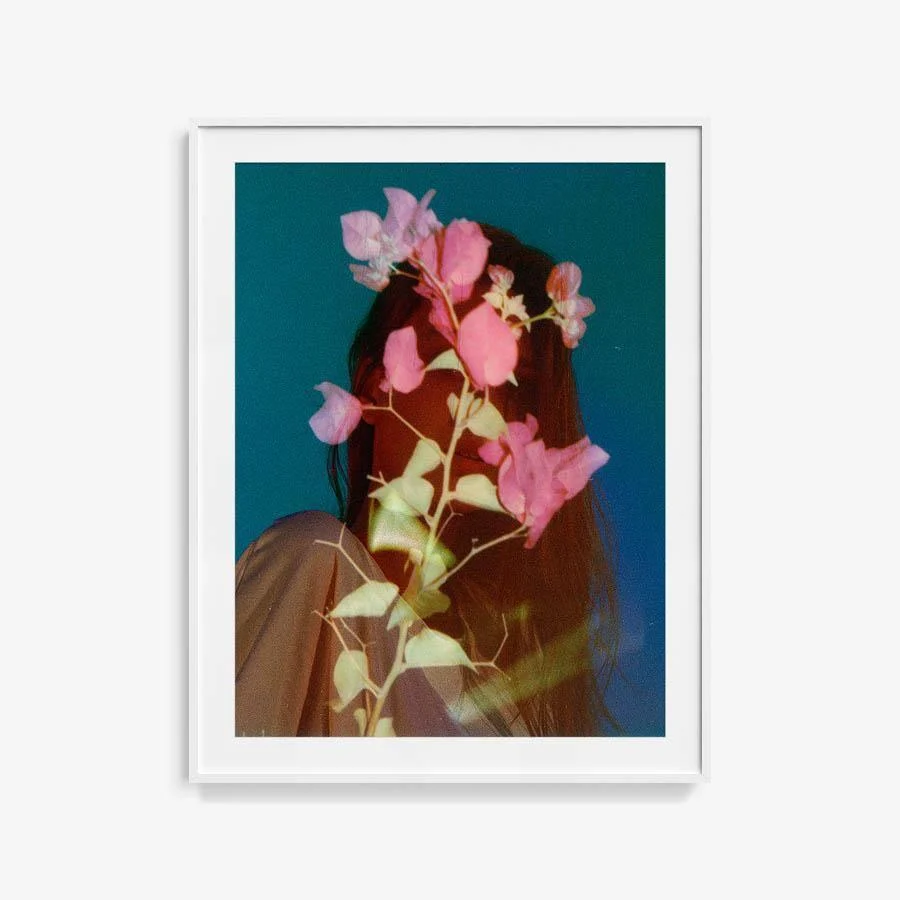 Bloom