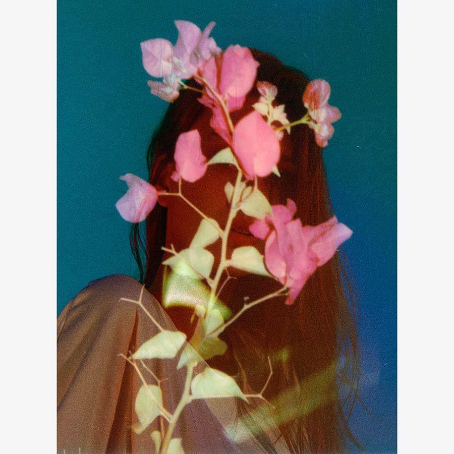 Bloom - Image 4