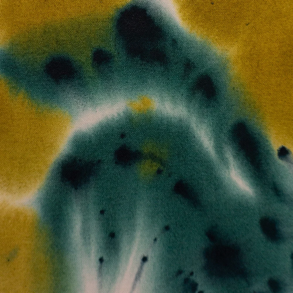 Brassica - Image 3