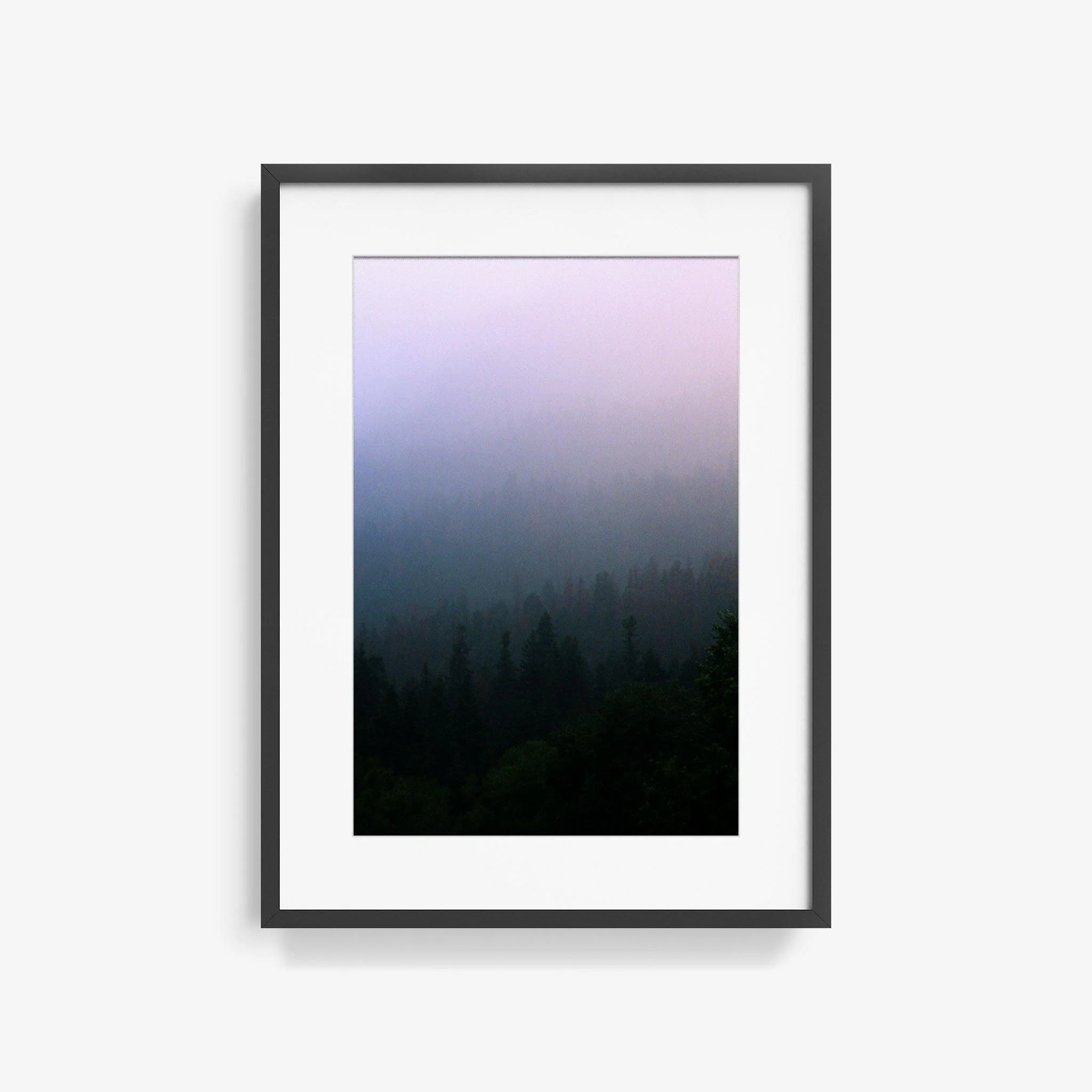 Forest 1 - Image 6