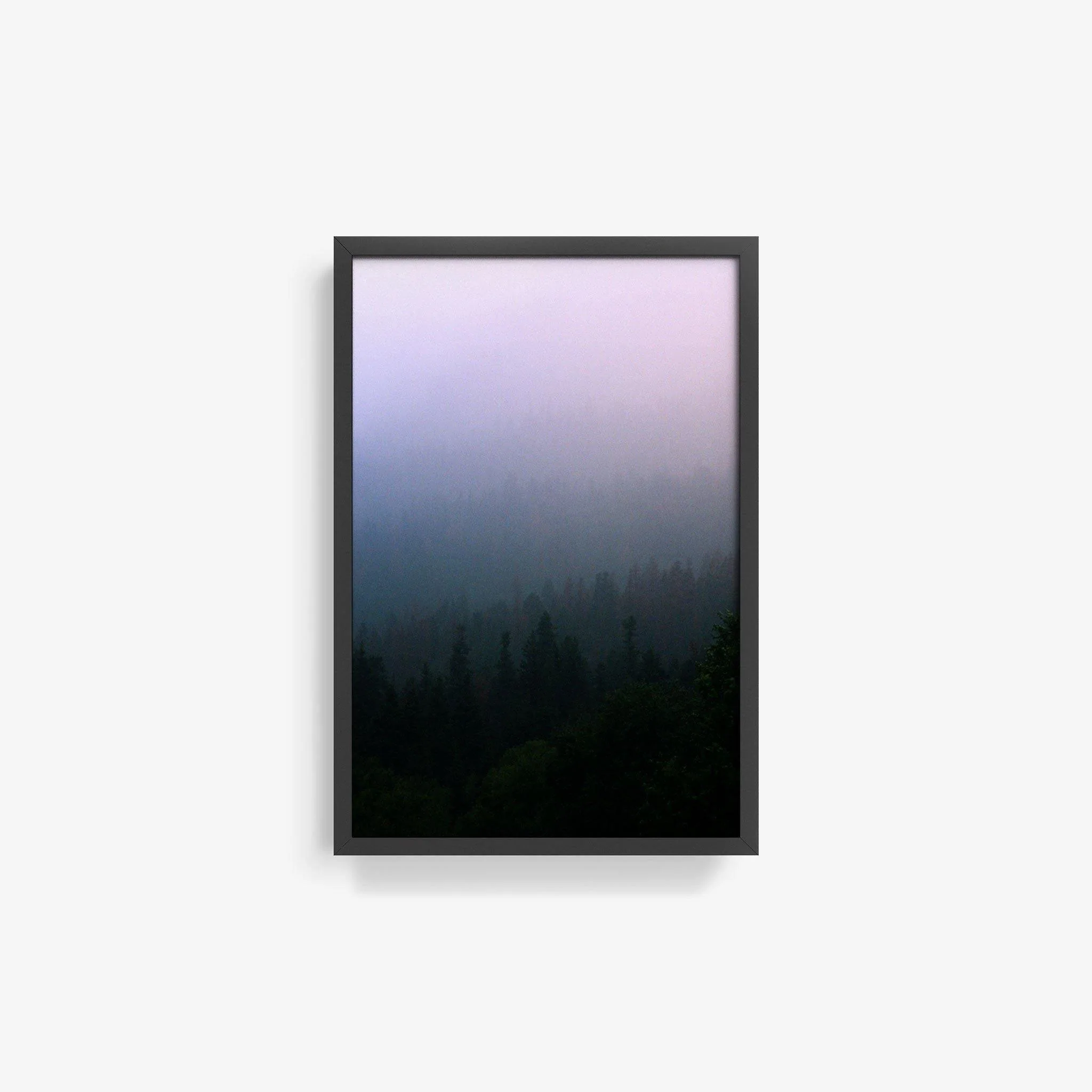 Forest 1 - Image 7