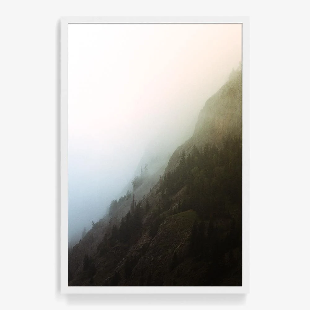 Forest 2