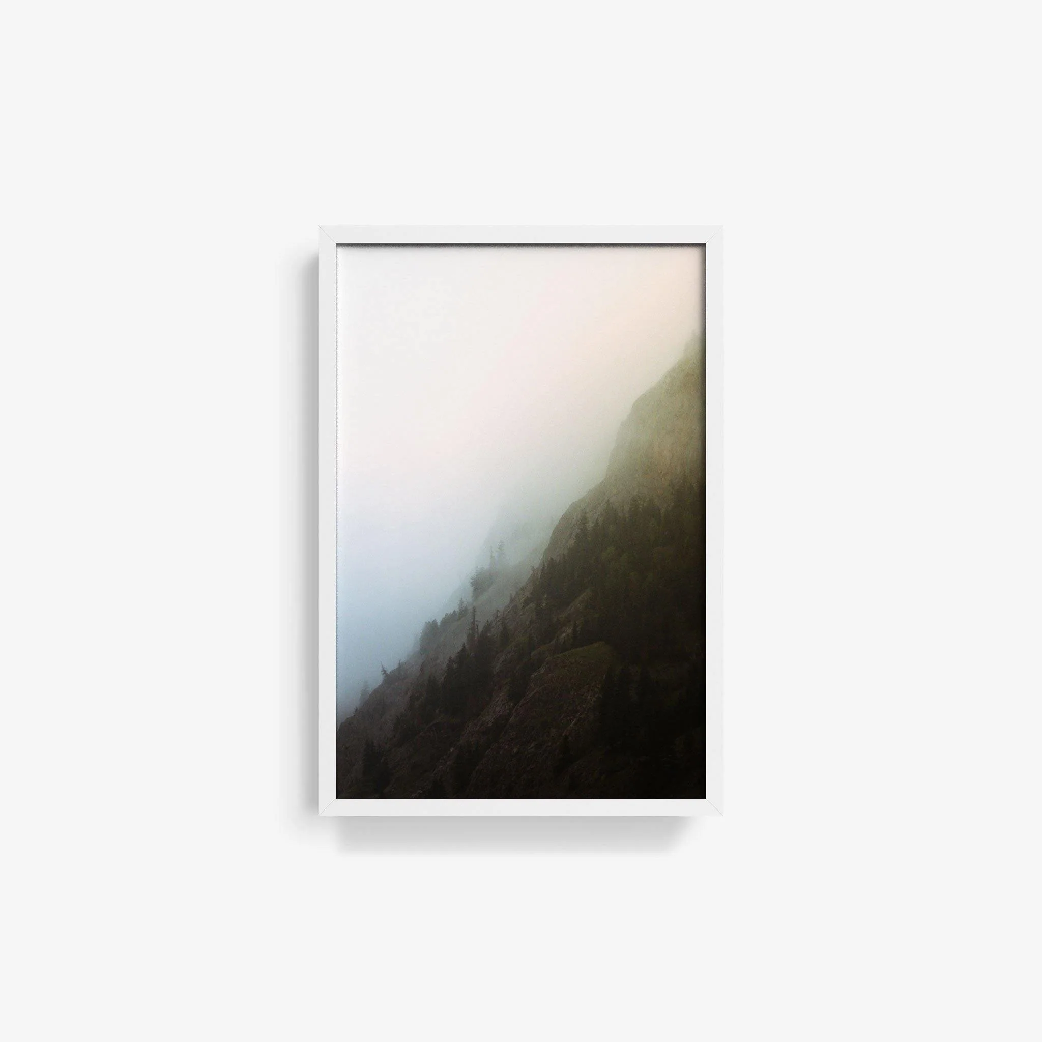 Forest 2 - Image 4
