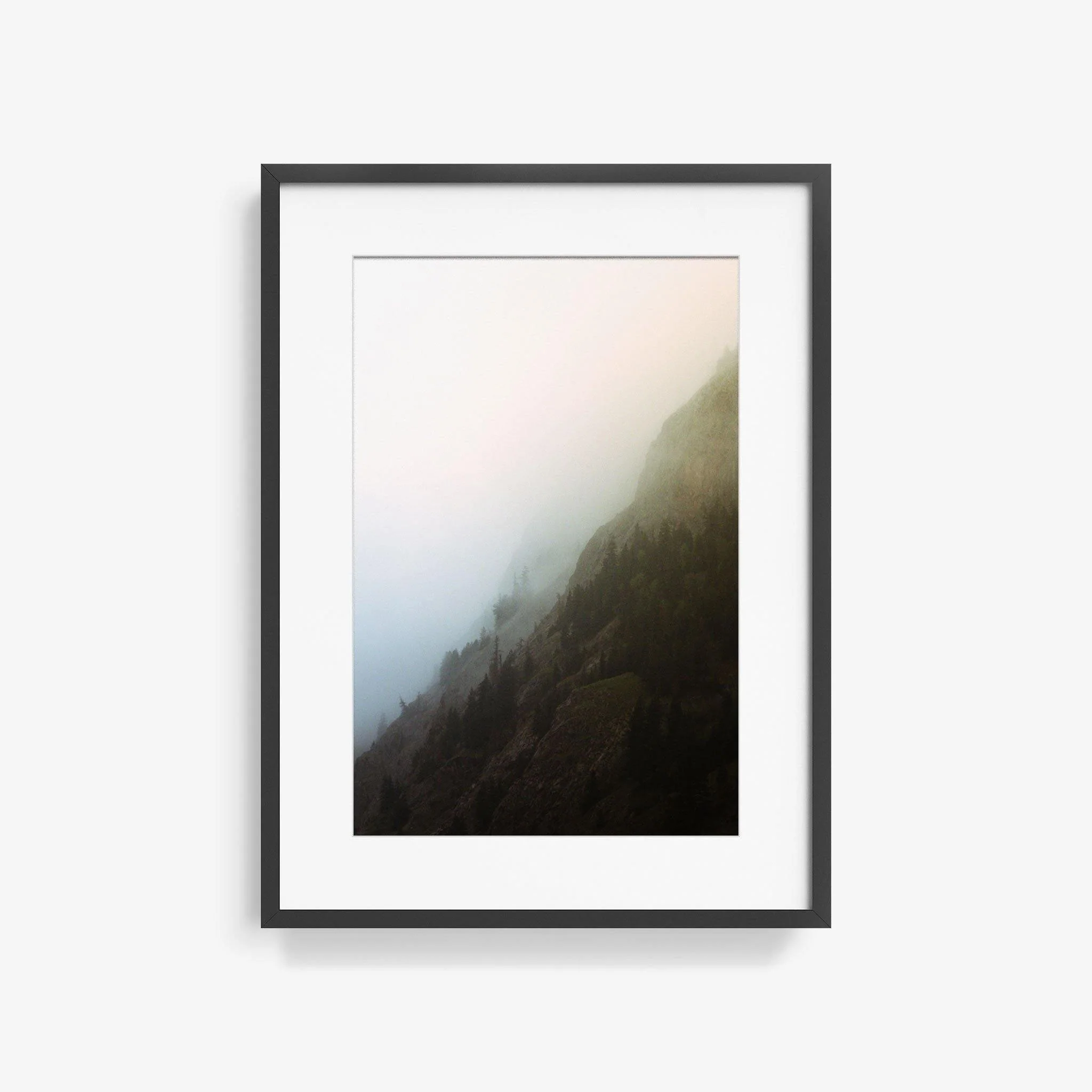 Forest 2 - Image 8