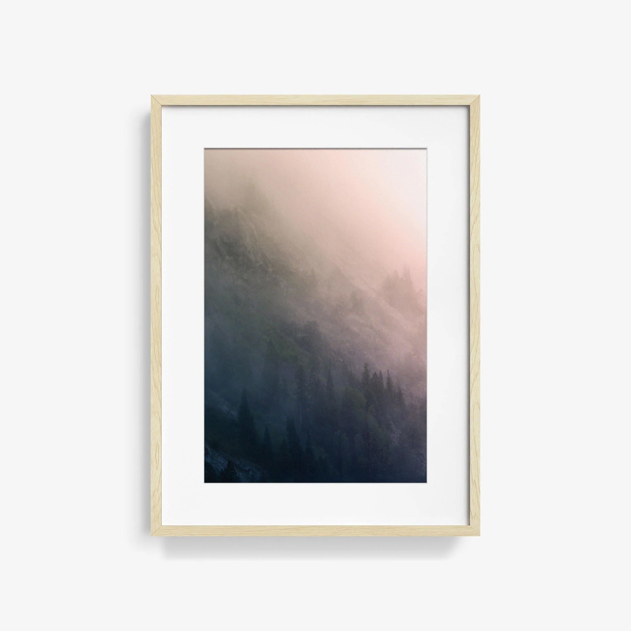 Forest 3 - Image 5