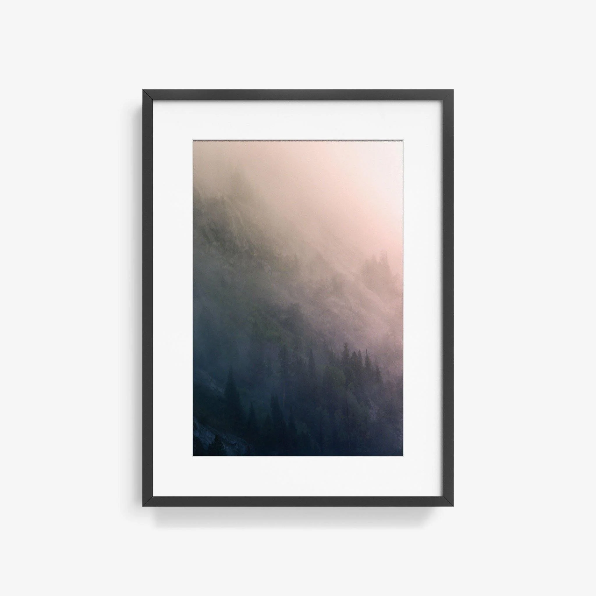 Forest 3 - Image 7