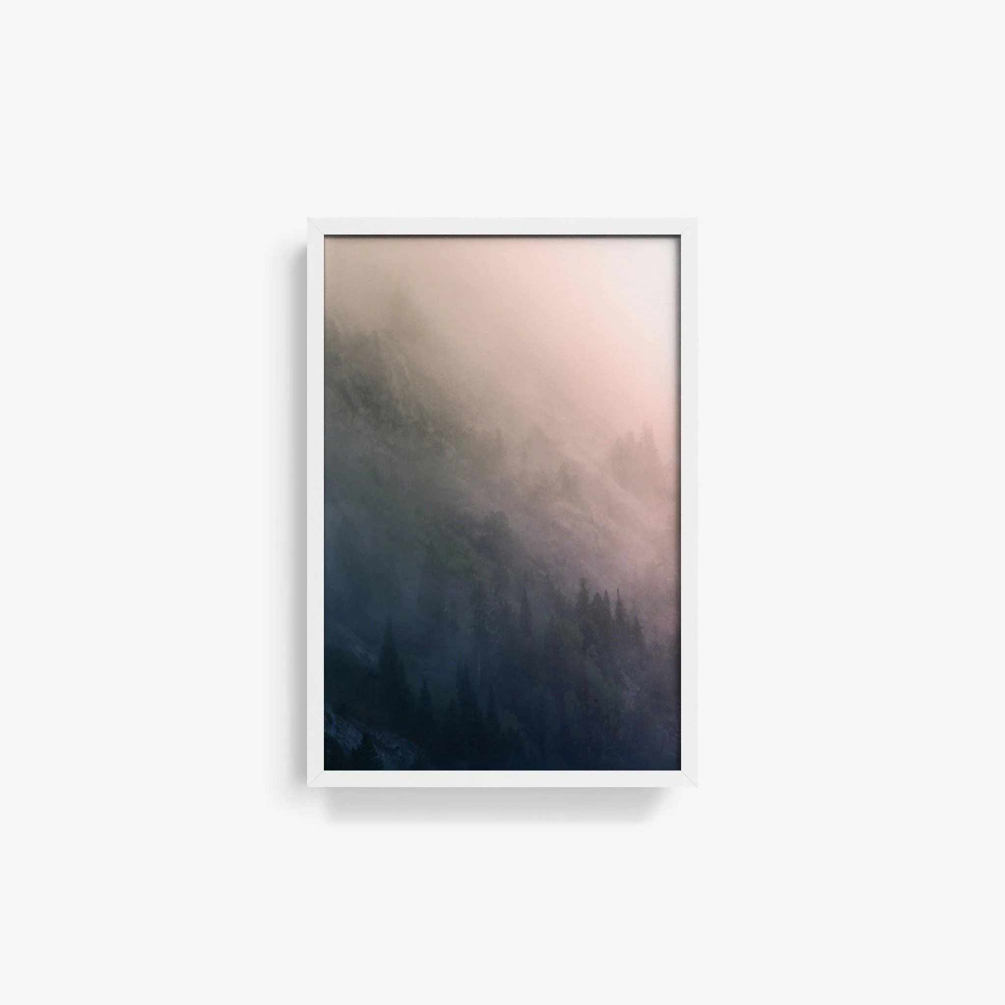 Forest 3 - Image 9