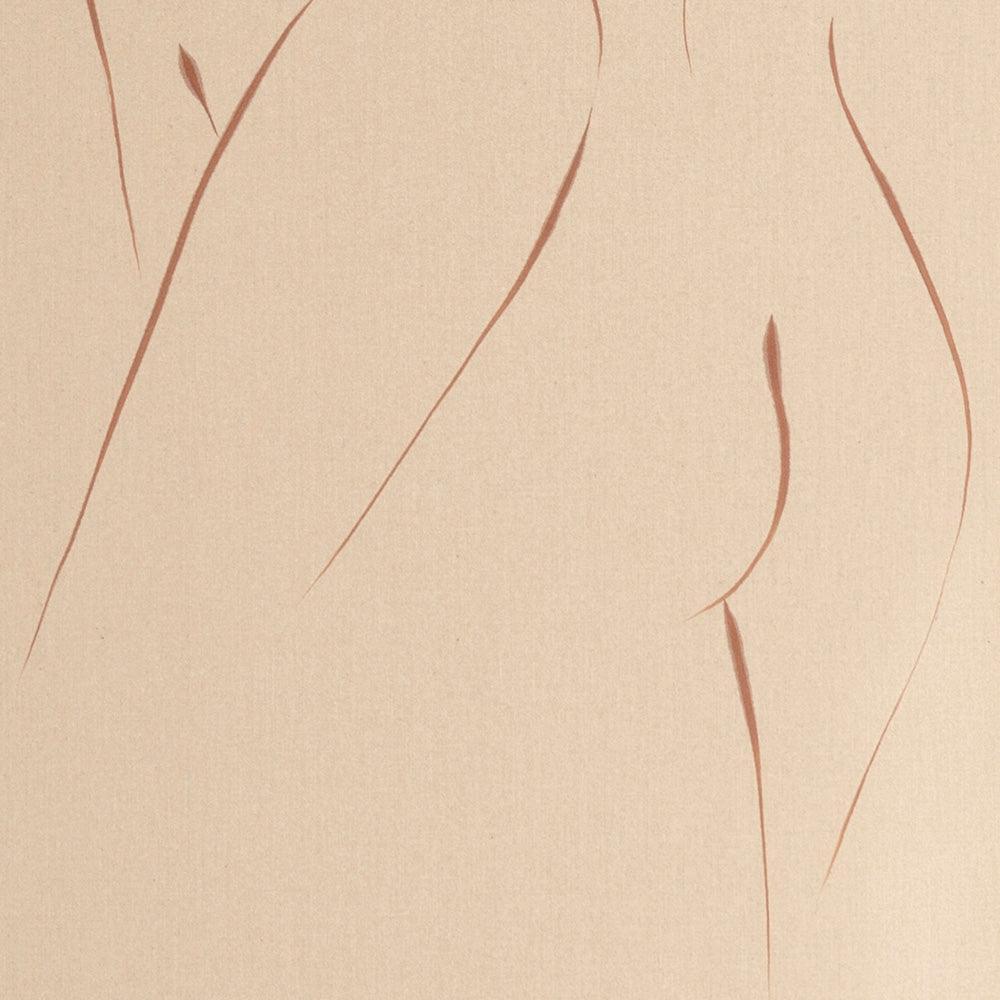 Brisa - Image 4