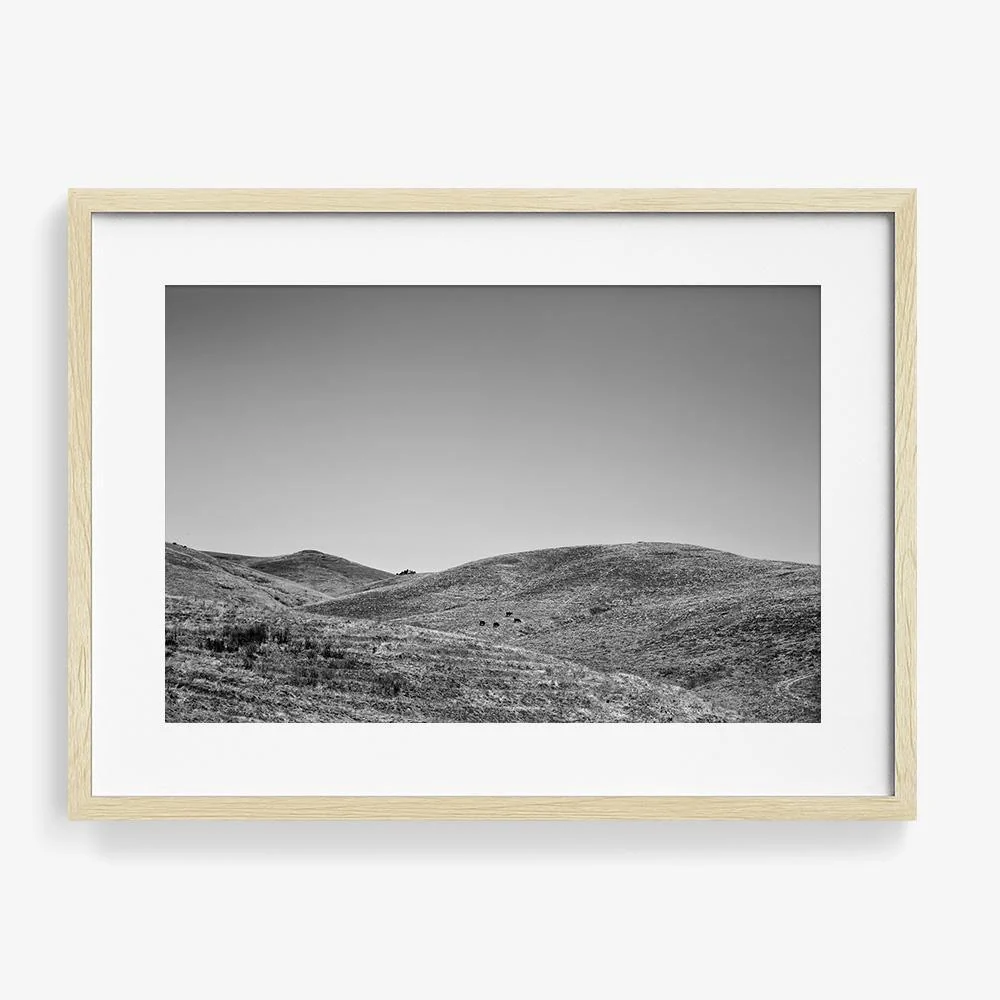 California Hills - Image 15
