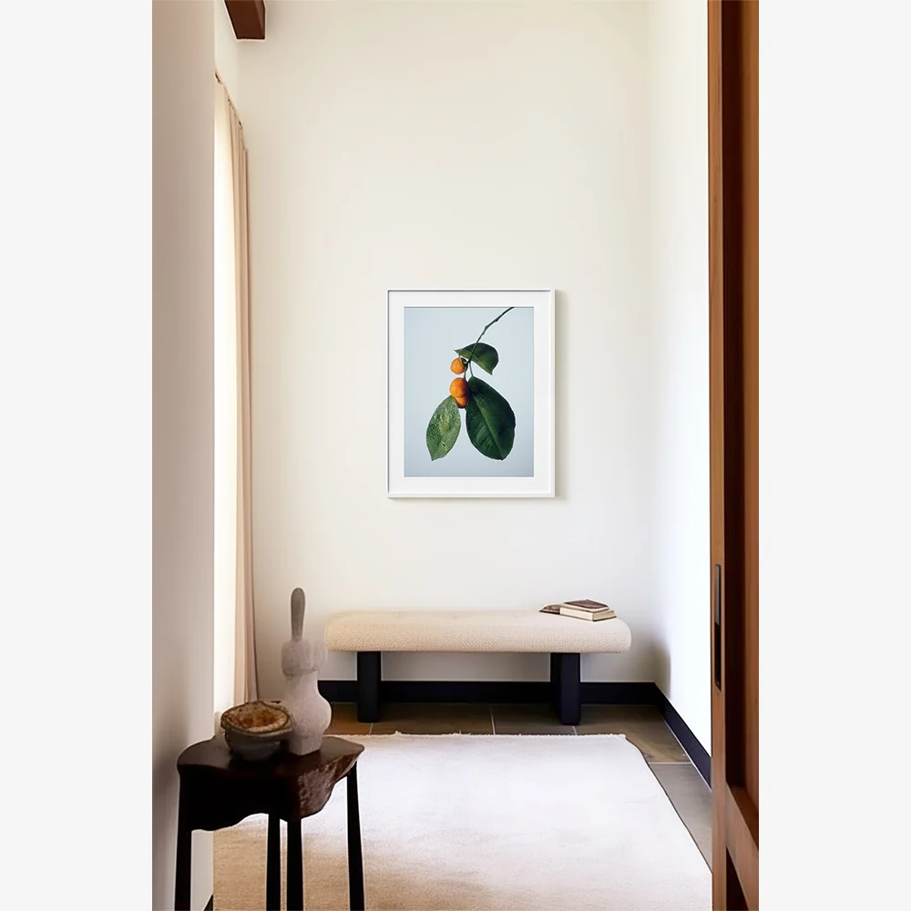 Citrus 1 - Image 10
