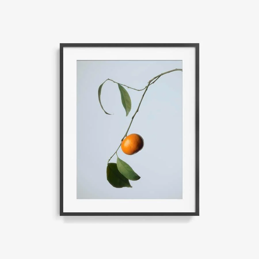 Citrus 4 - Image 14