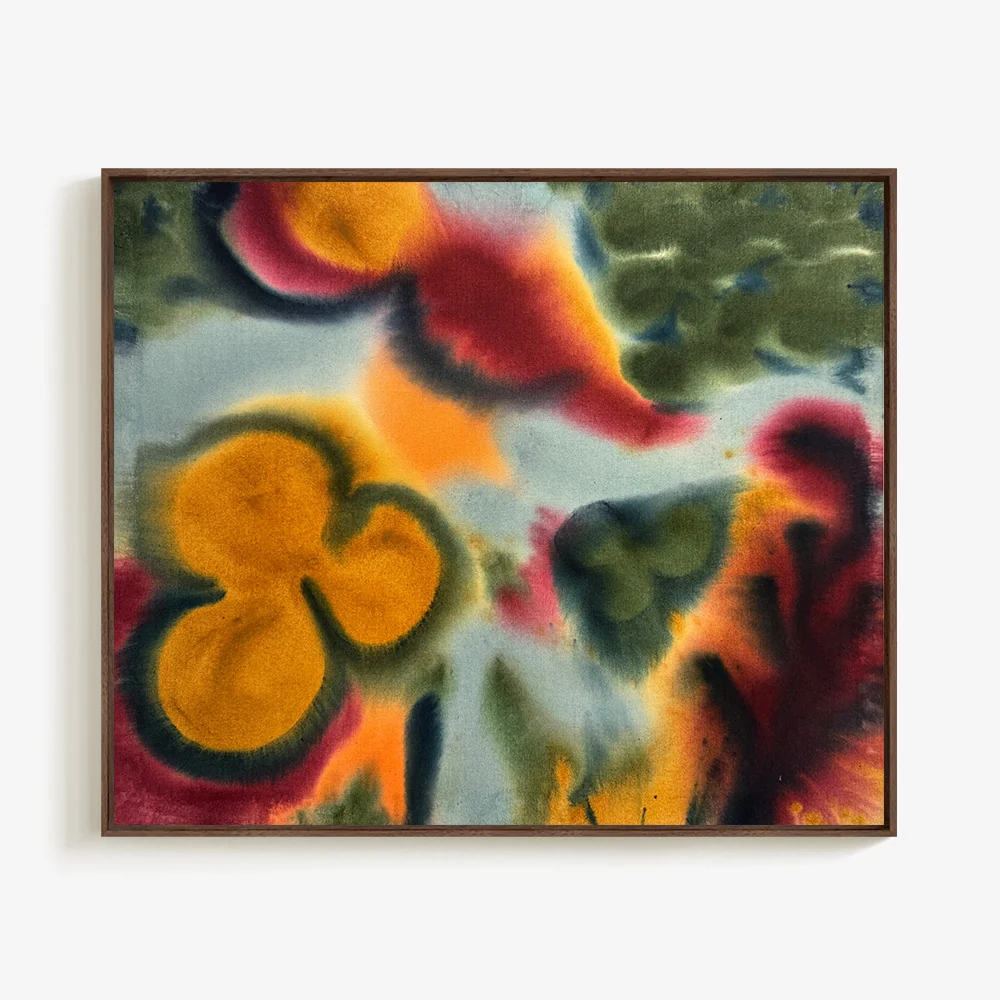 Clara - Image 5
