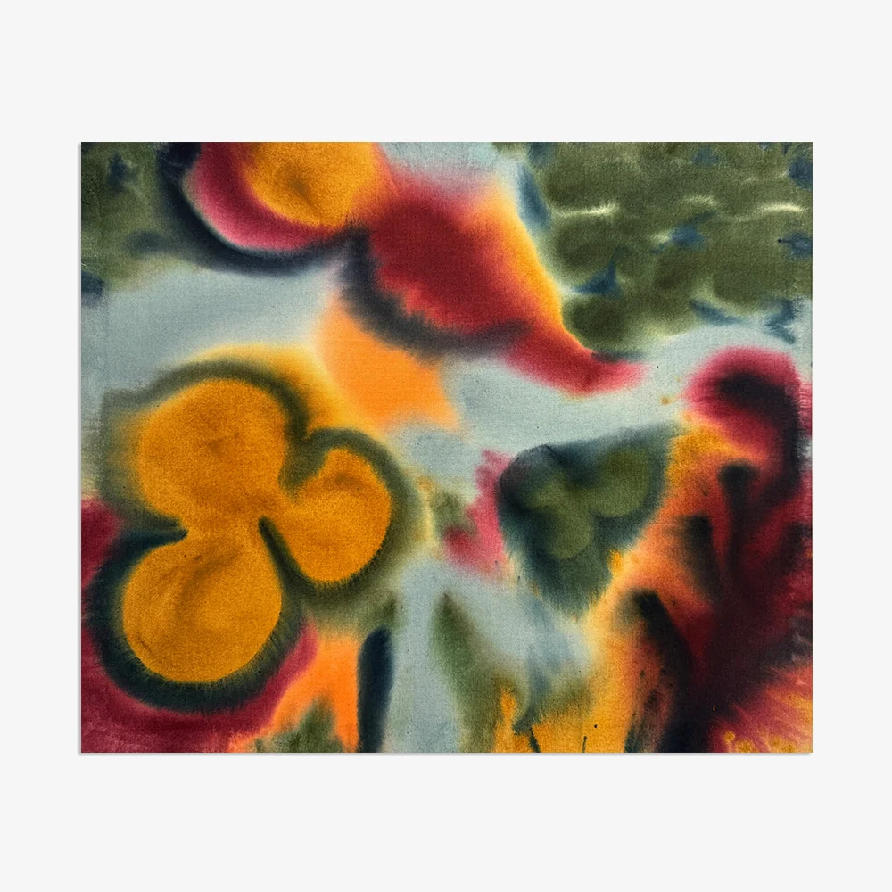 Clara - Image 6