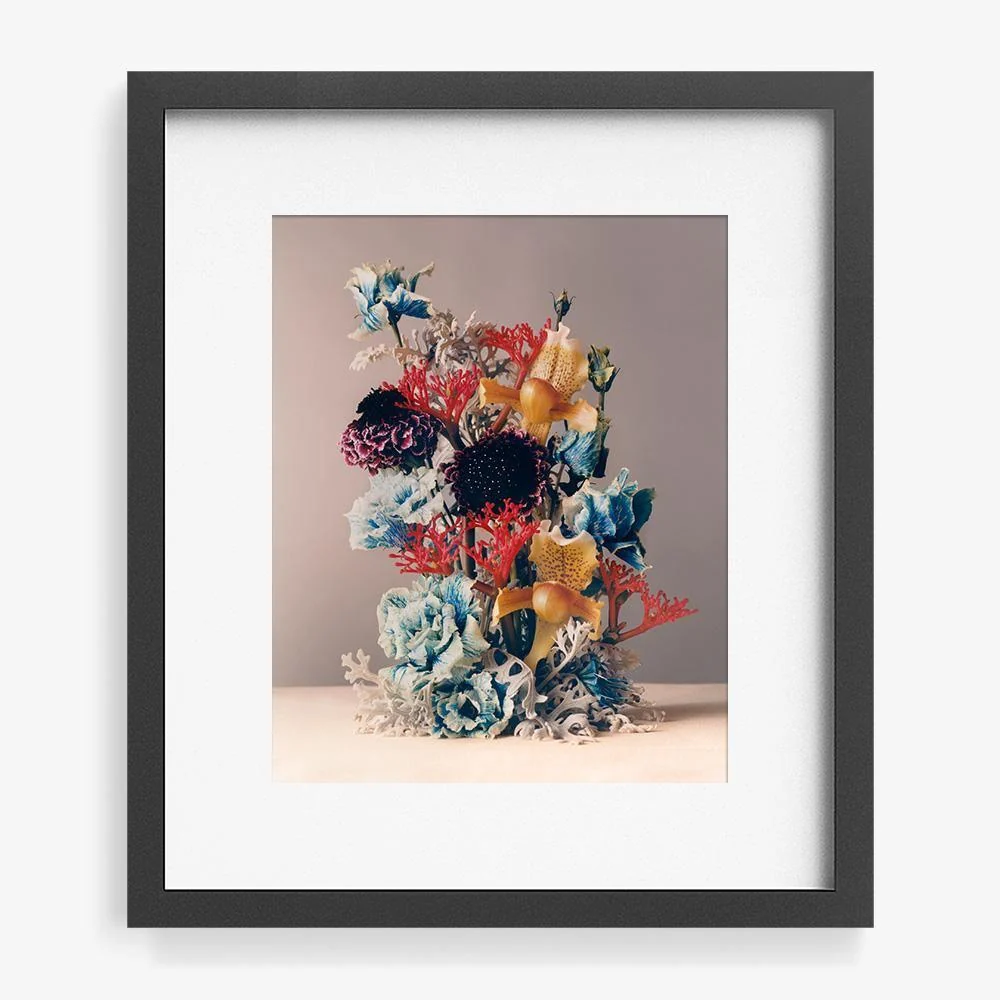 Coral 1 - Image 14