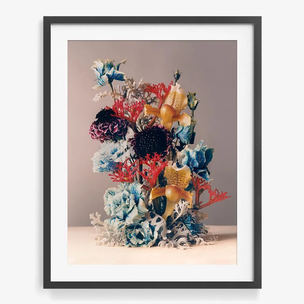 Coral 1 - Image 7