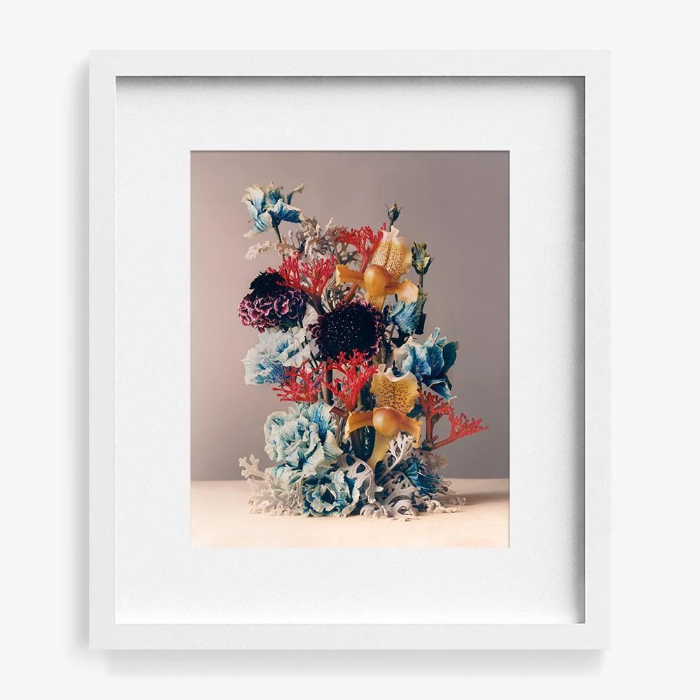 Coral 1 - Image 9