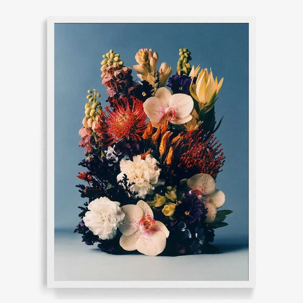 Coral 3 - Image 4