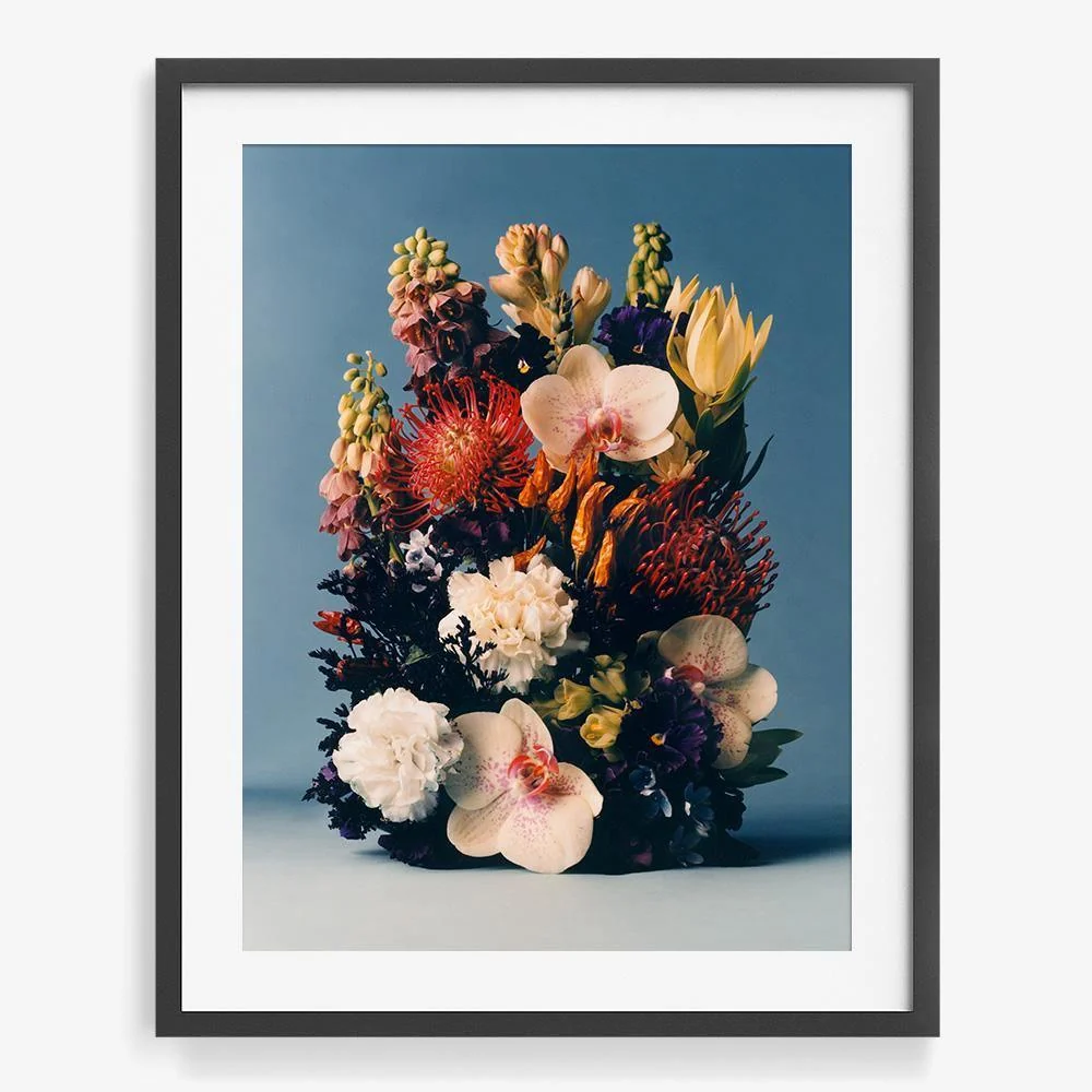 Coral 3 - Image 7