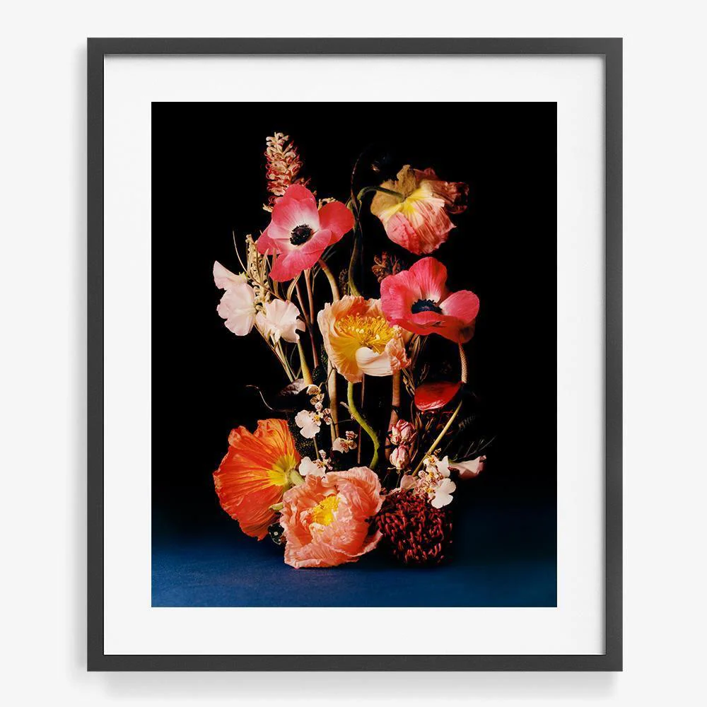 Coral 4 - Image 8