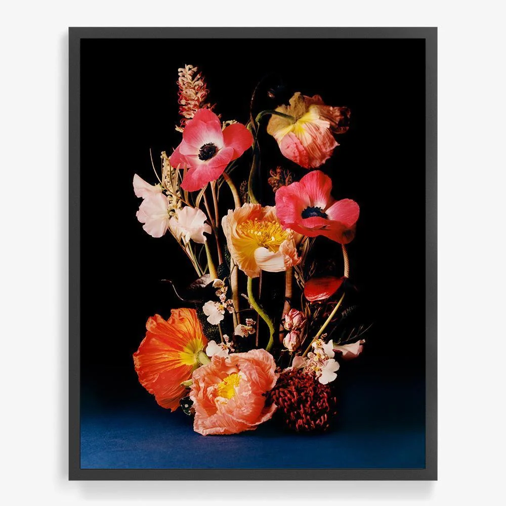 Coral 4 - Image 9