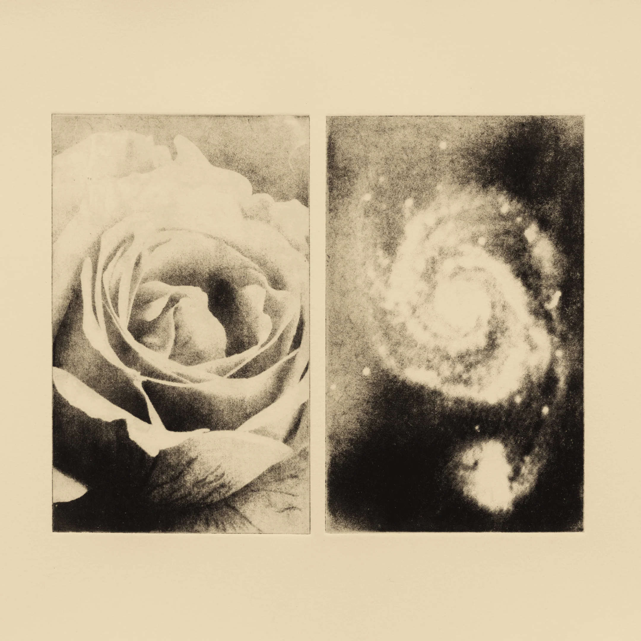COSMIC DISTANCES (DIPTYCH I) - Image 3