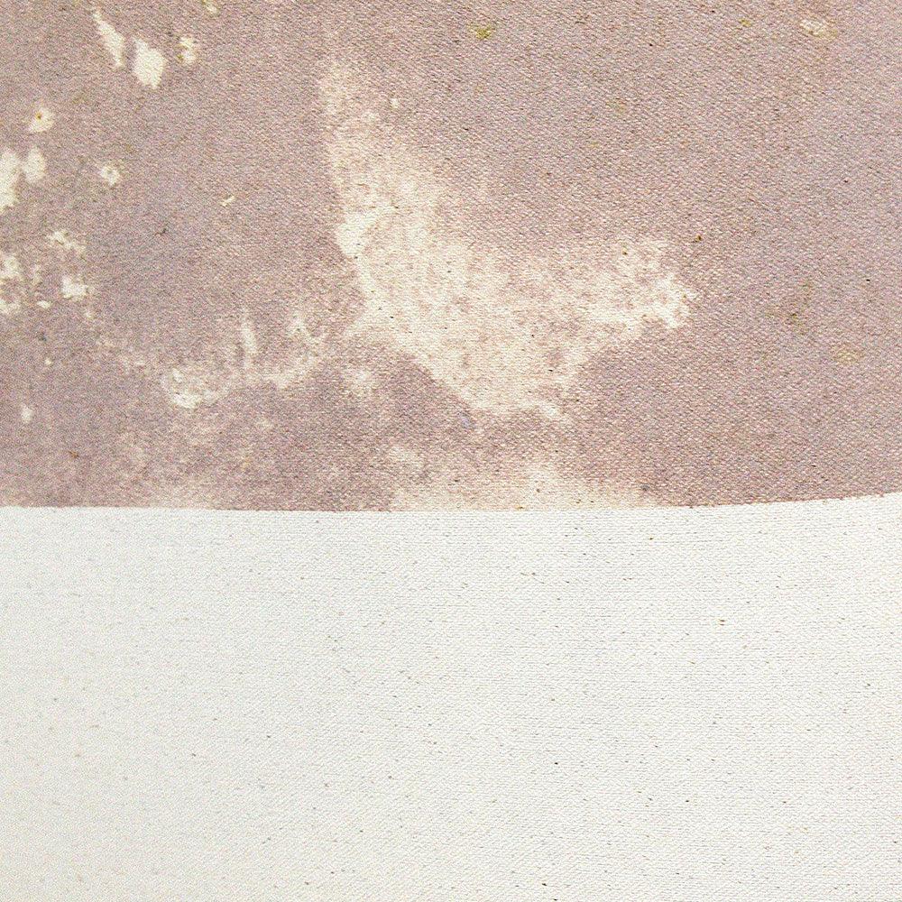 Cotton Field - Image 3
