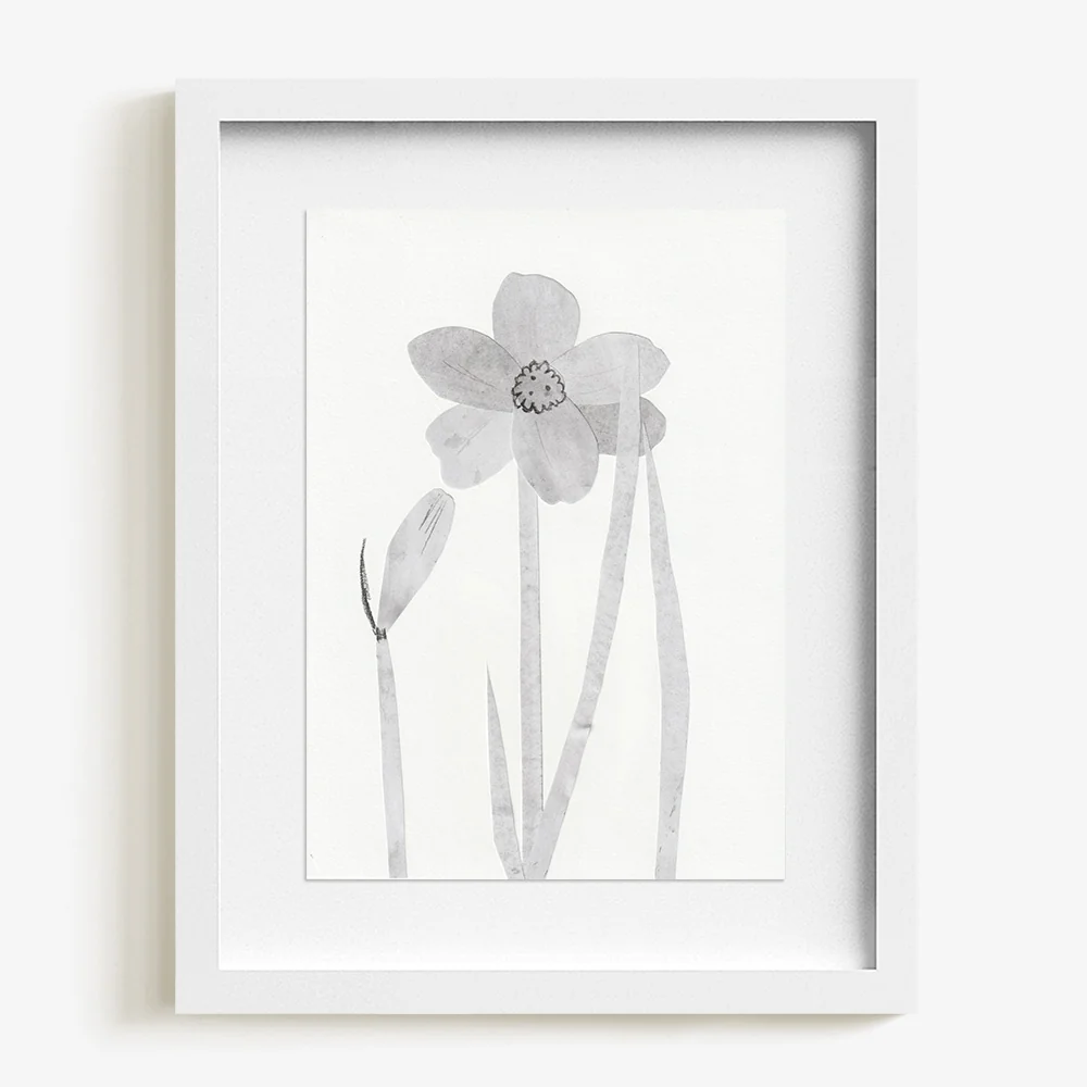 Daffodils - Image 4
