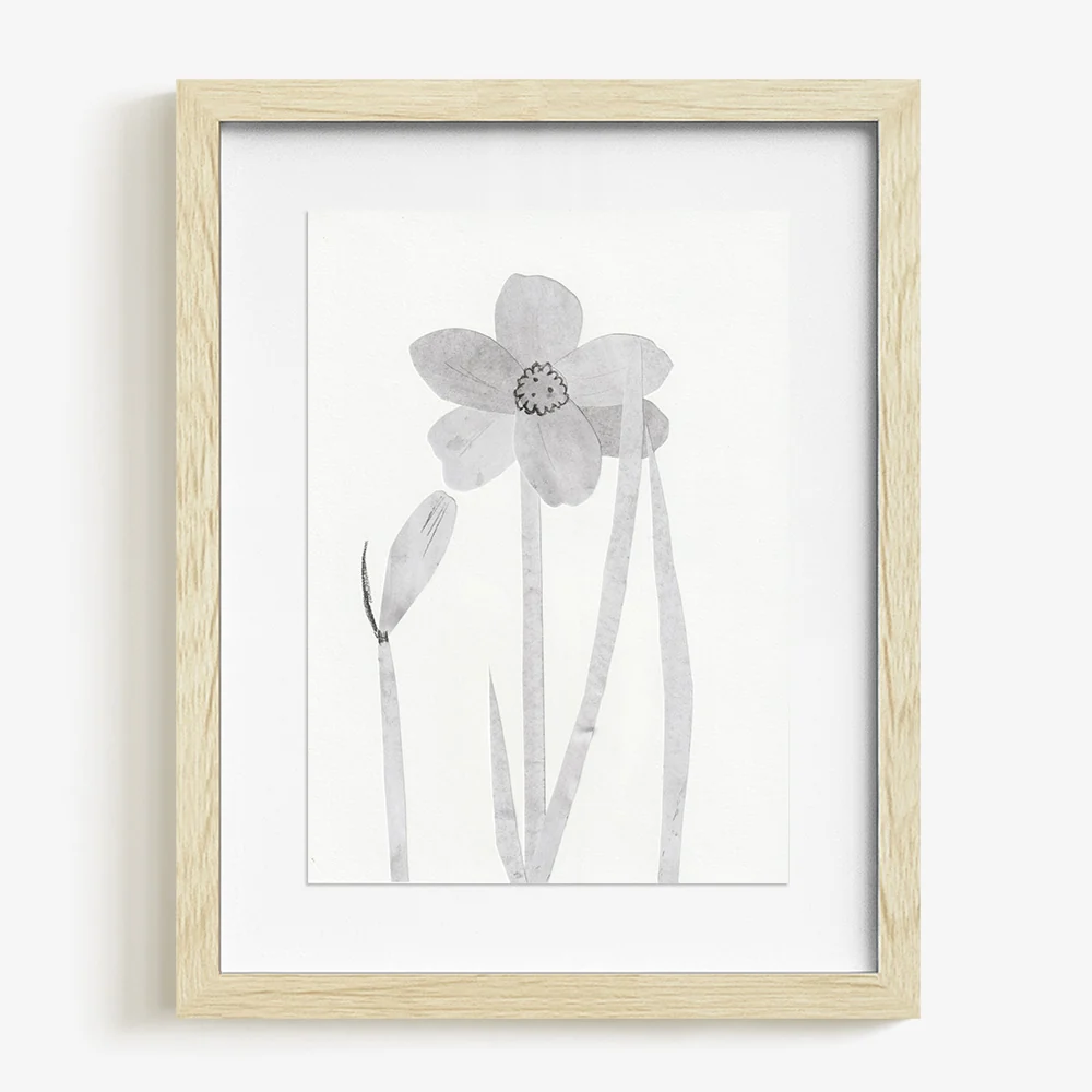 Daffodils - Image 5