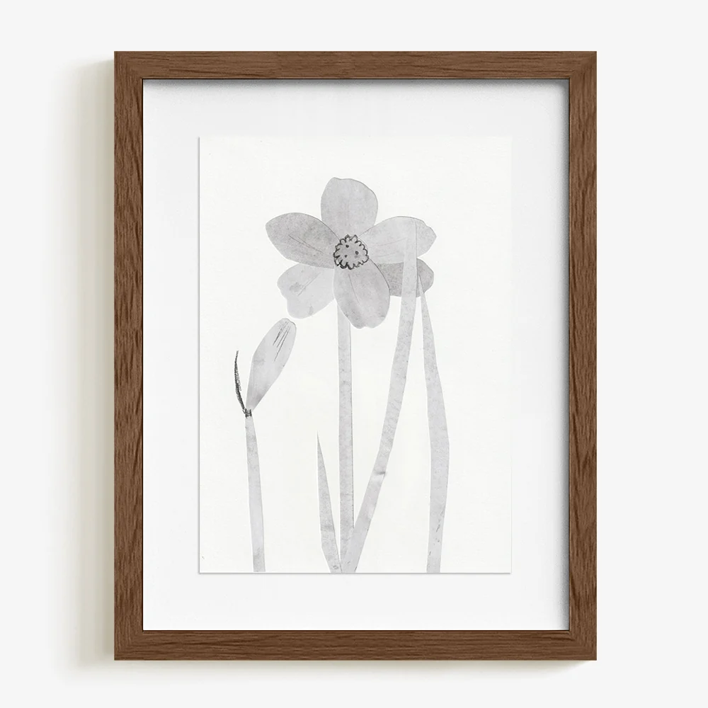 Daffodils - Image 6