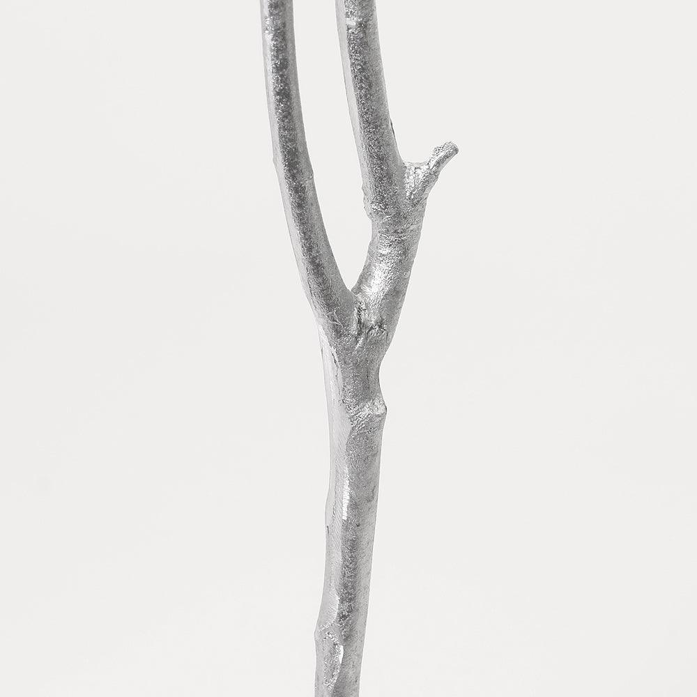 Daisy - Image 8