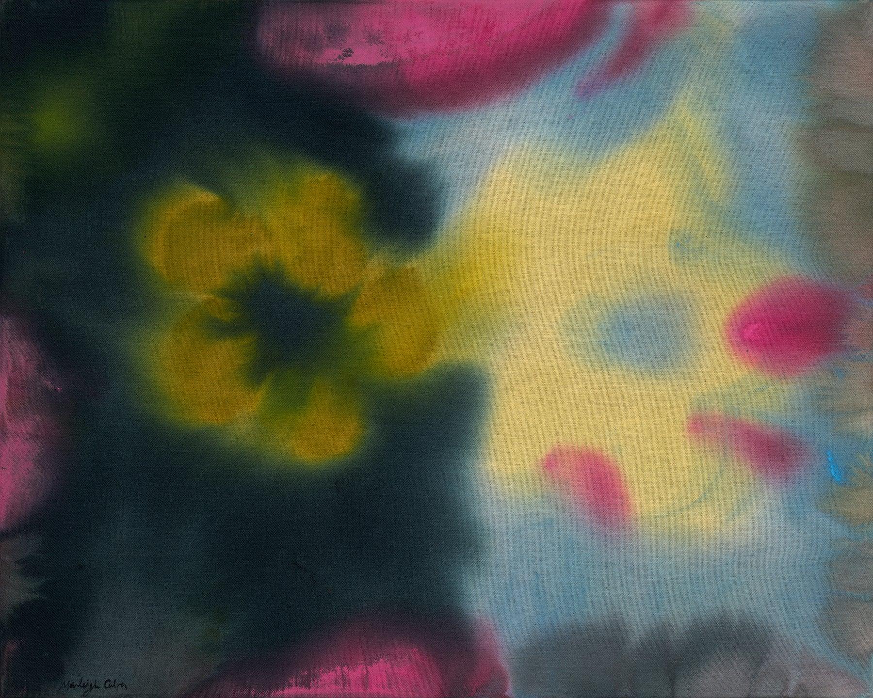 Dawn Birdsong - Image 7