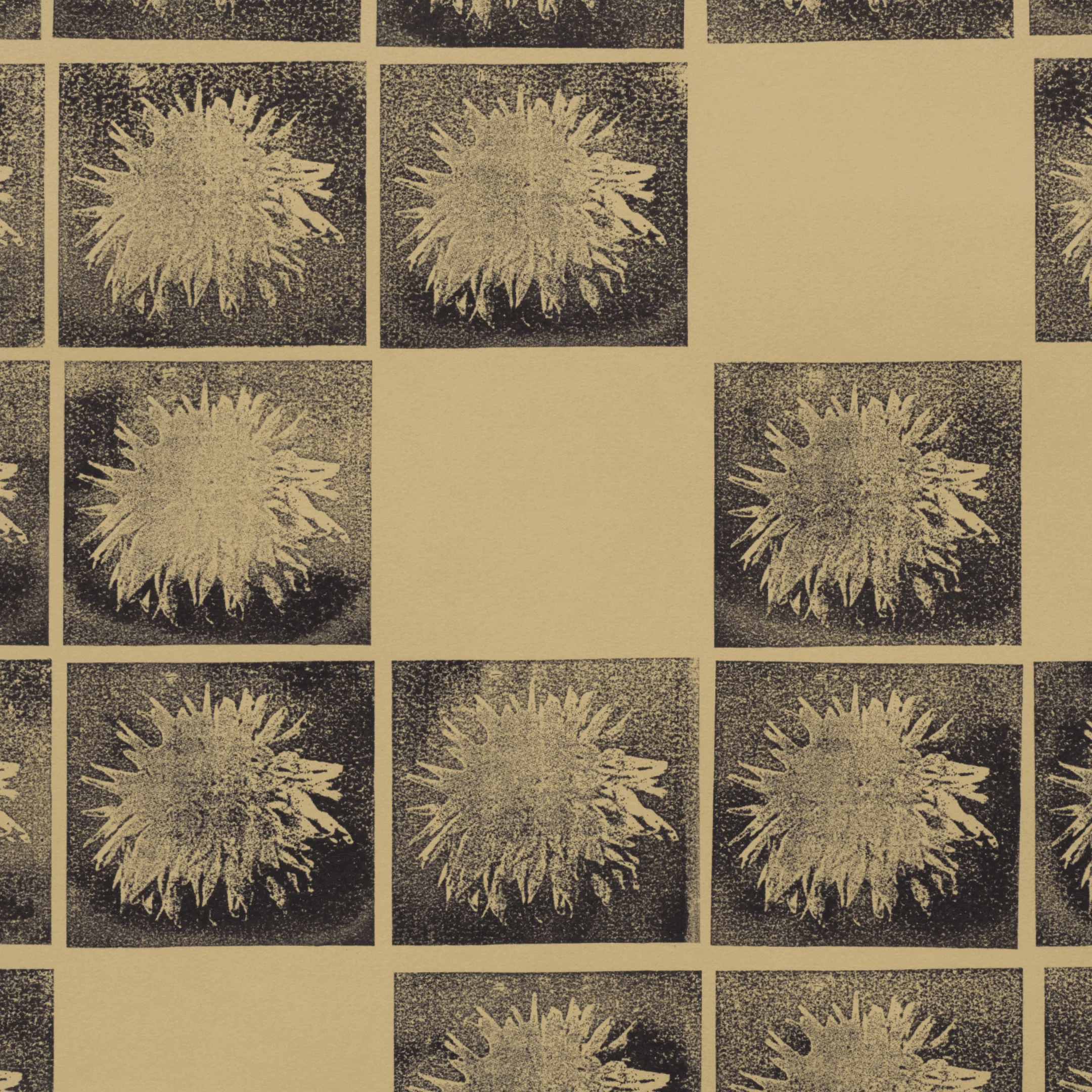 Days After - Image 4