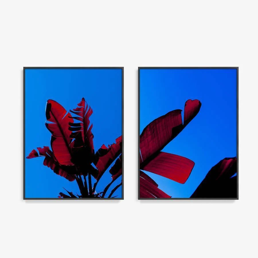 Dendrophilia I - Image 23