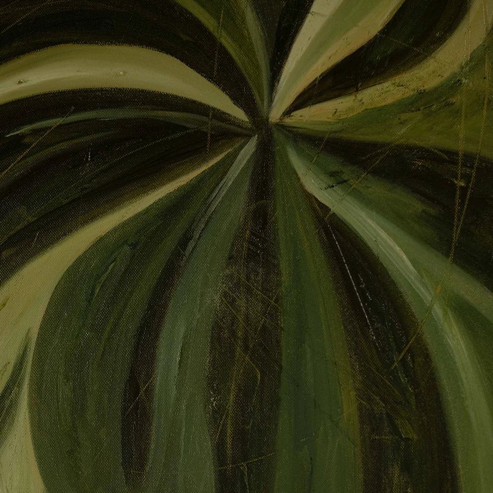 Depois da chuva - Image 4