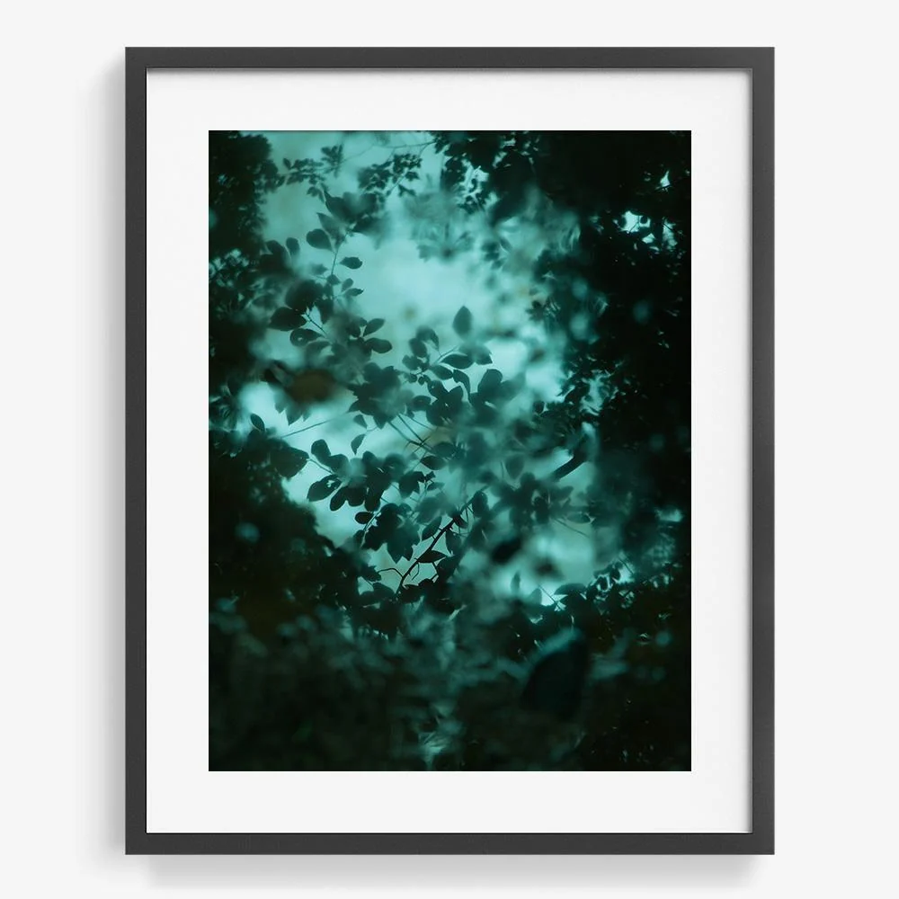 Diffusion - Image 12