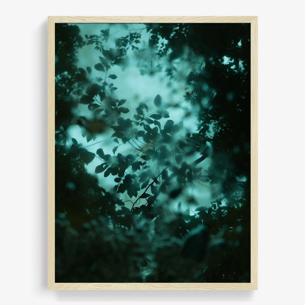 Diffusion - Image 17